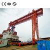 Double girder truss crane
